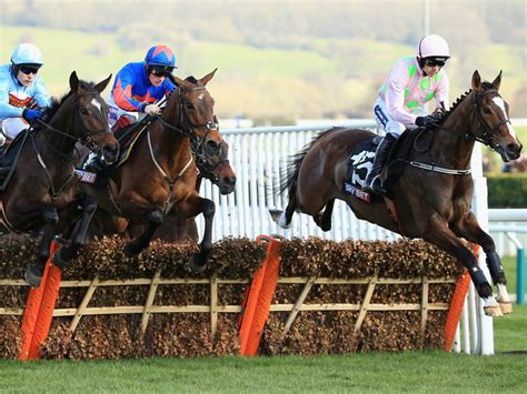 horse racing non-runners|Home .